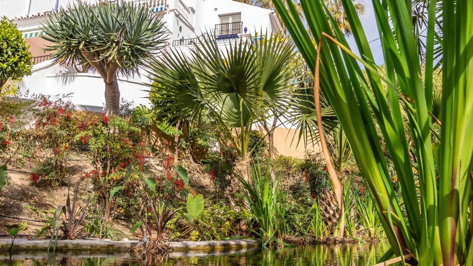 Casablanca 38 Oasis Properties Nerja