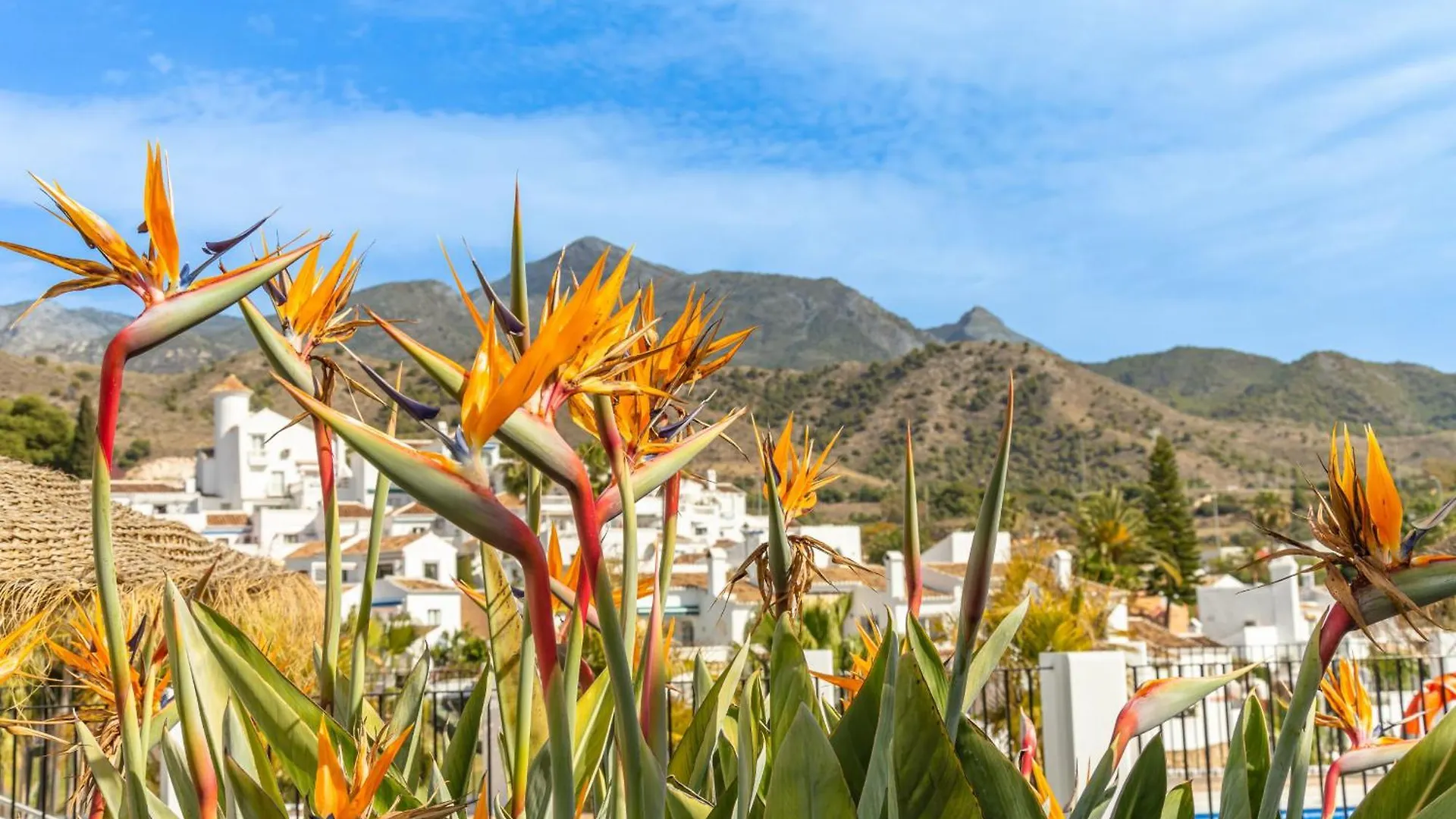 Casablanca 38 Oasis Properties Nerja Holiday home