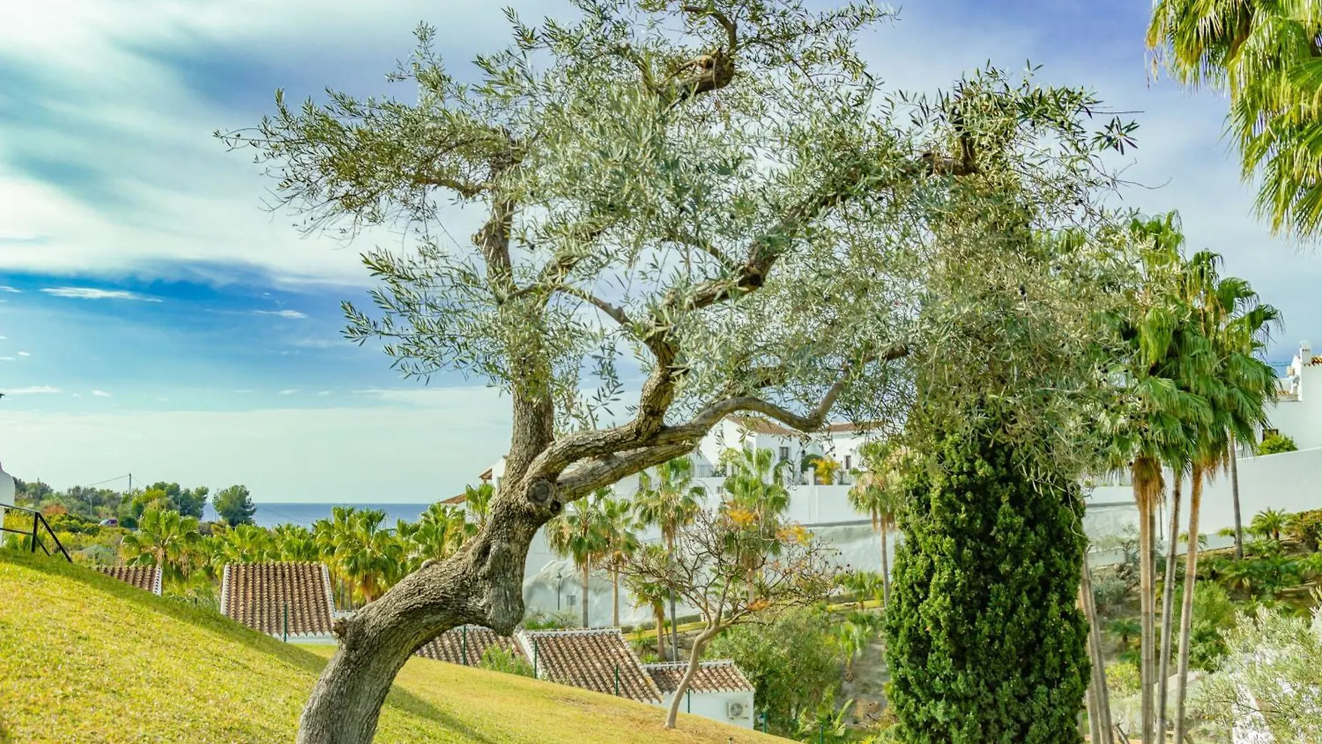 Holiday home Casablanca 38 Oasis Properties Nerja Spain